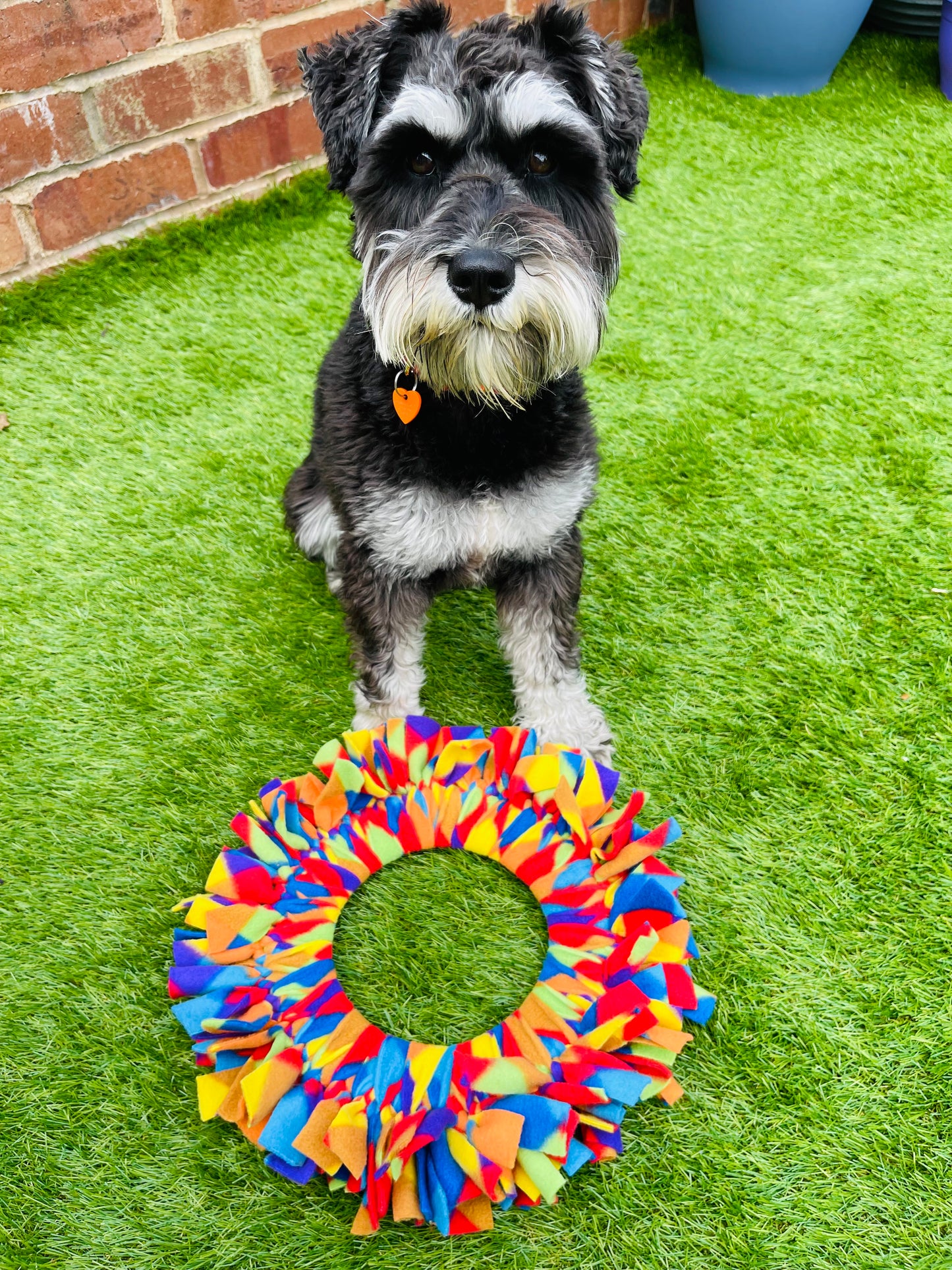 Fleece Frisbees (Free Postage)