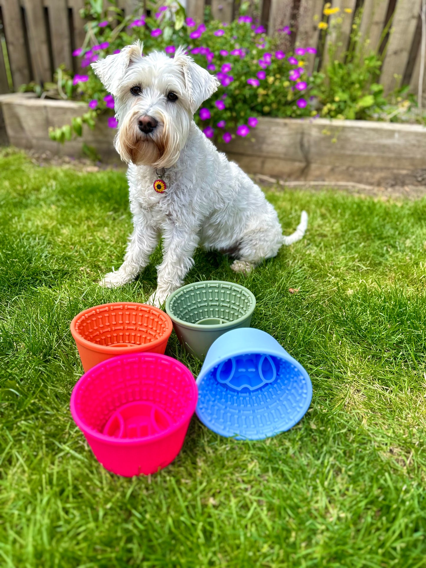 Dog Lick Pot (Free Postage)