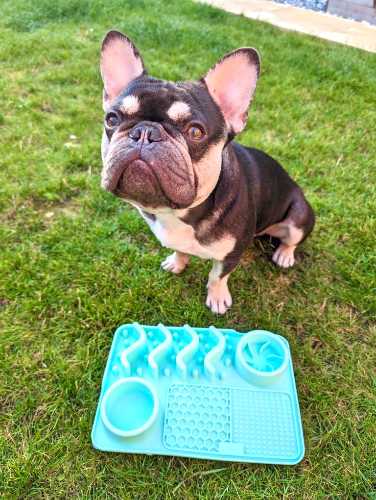 Multifunctional Lick Mat, Available In 2 Sizes (Free Postage)