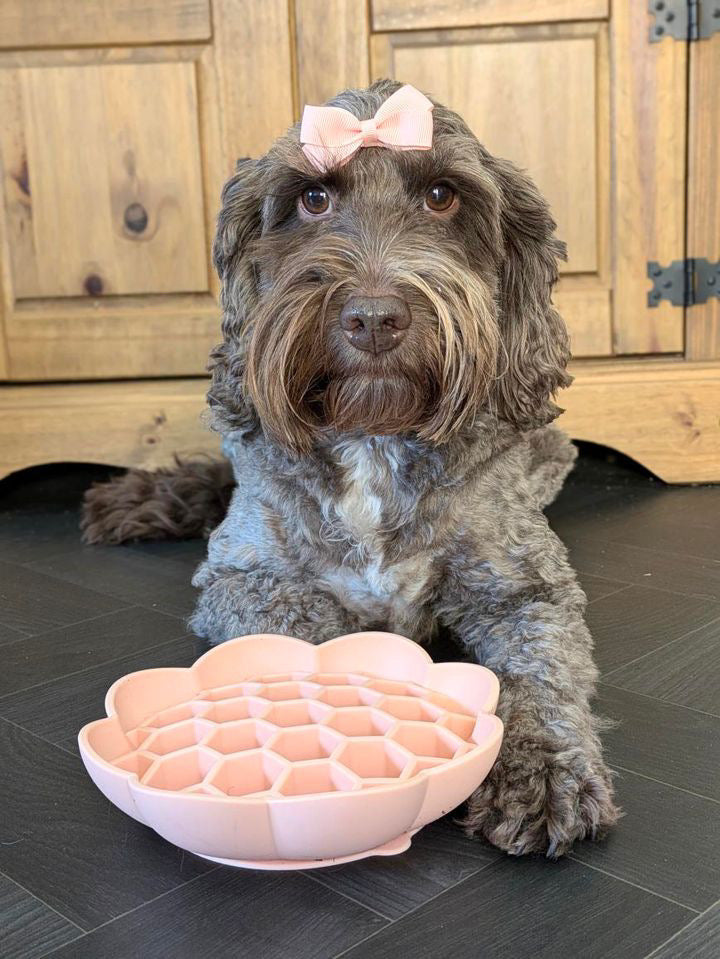 Honeycomb Enrichment Bowl (Free Postage)