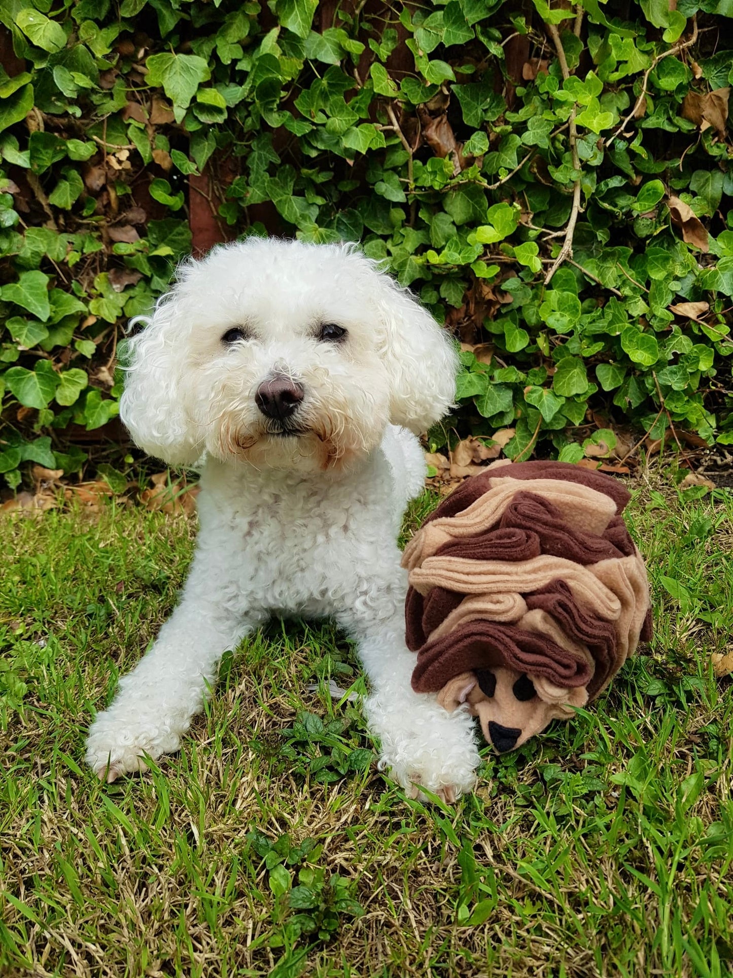 The Snuffle Hog Available In 2 Sizes (Free Postage)