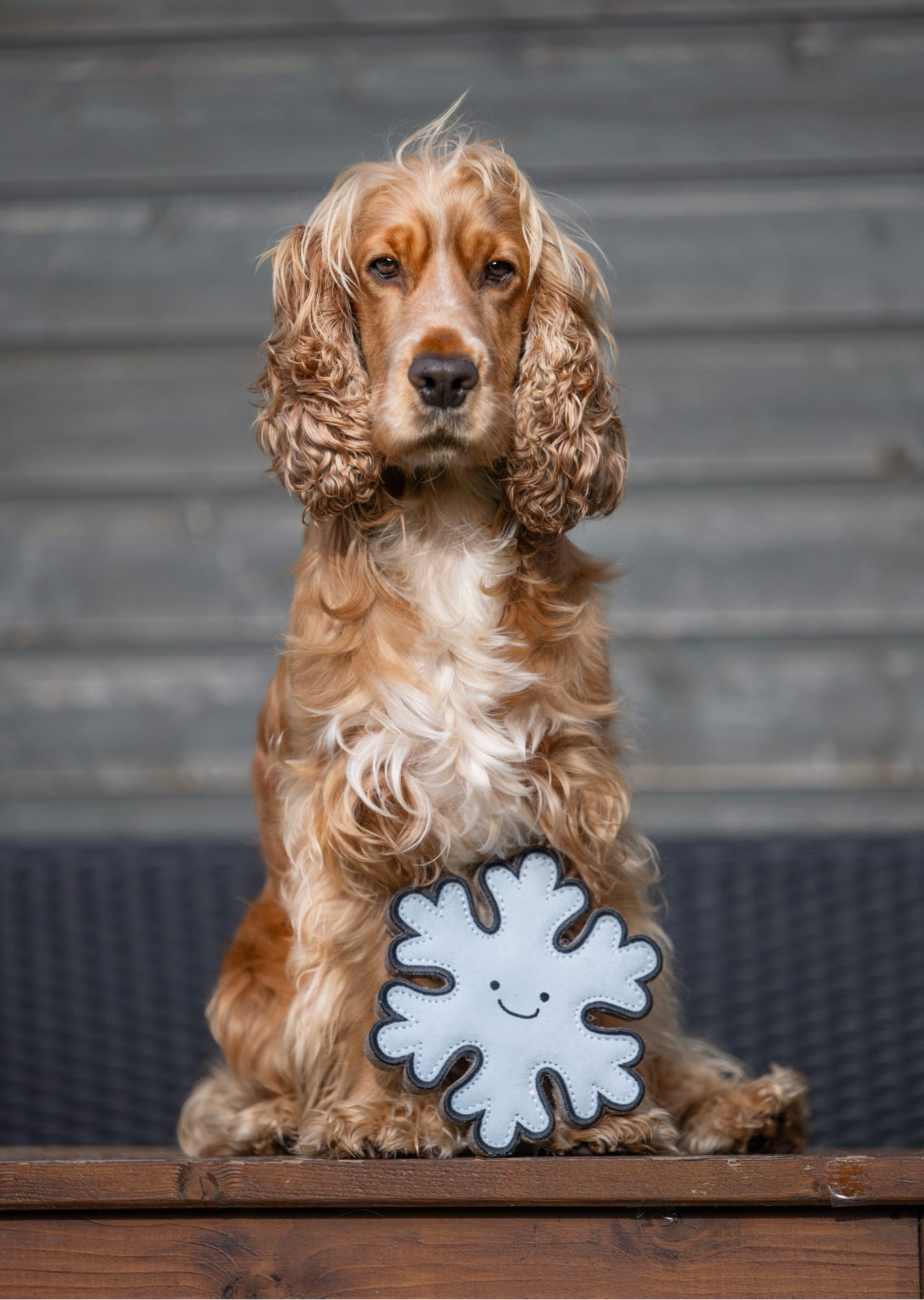 Flakey The Snowflake (Free Postage)