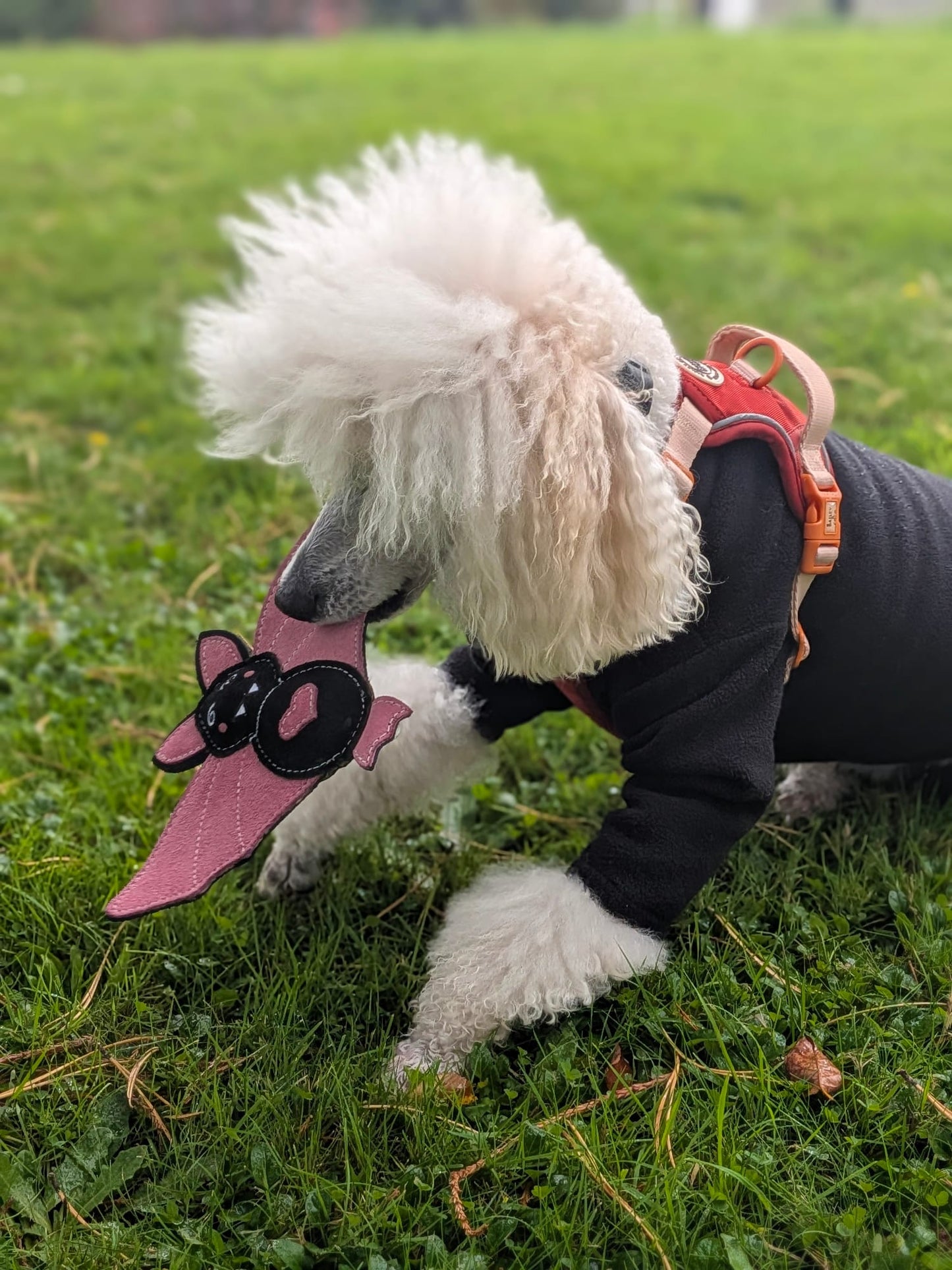 Nora Batty (Free Postage)