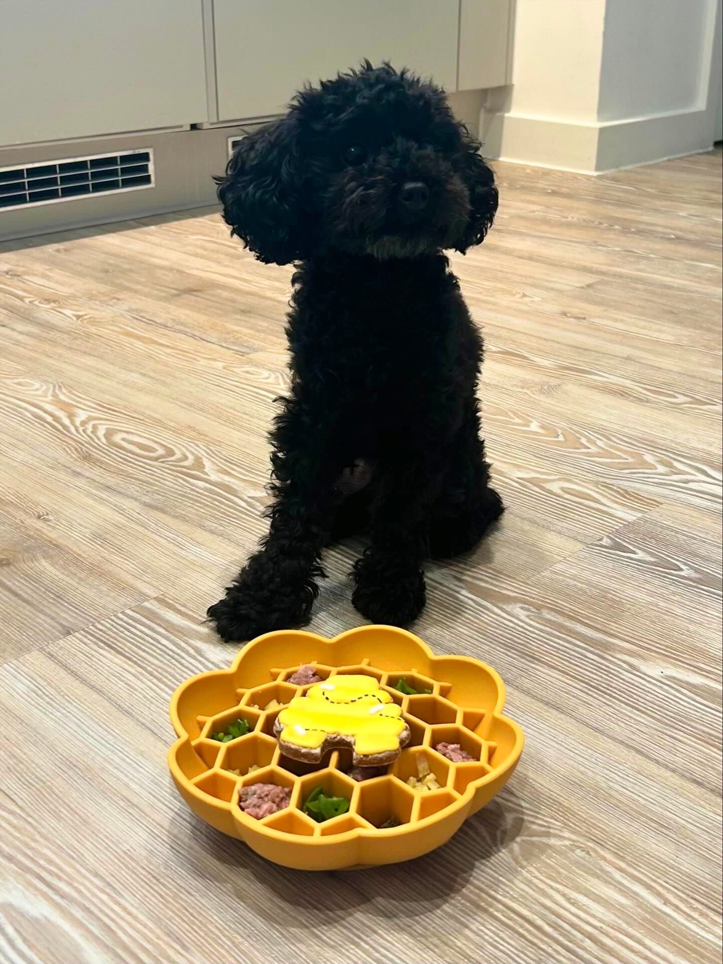 Honeycomb Enrichment Bowl (Free Postage)