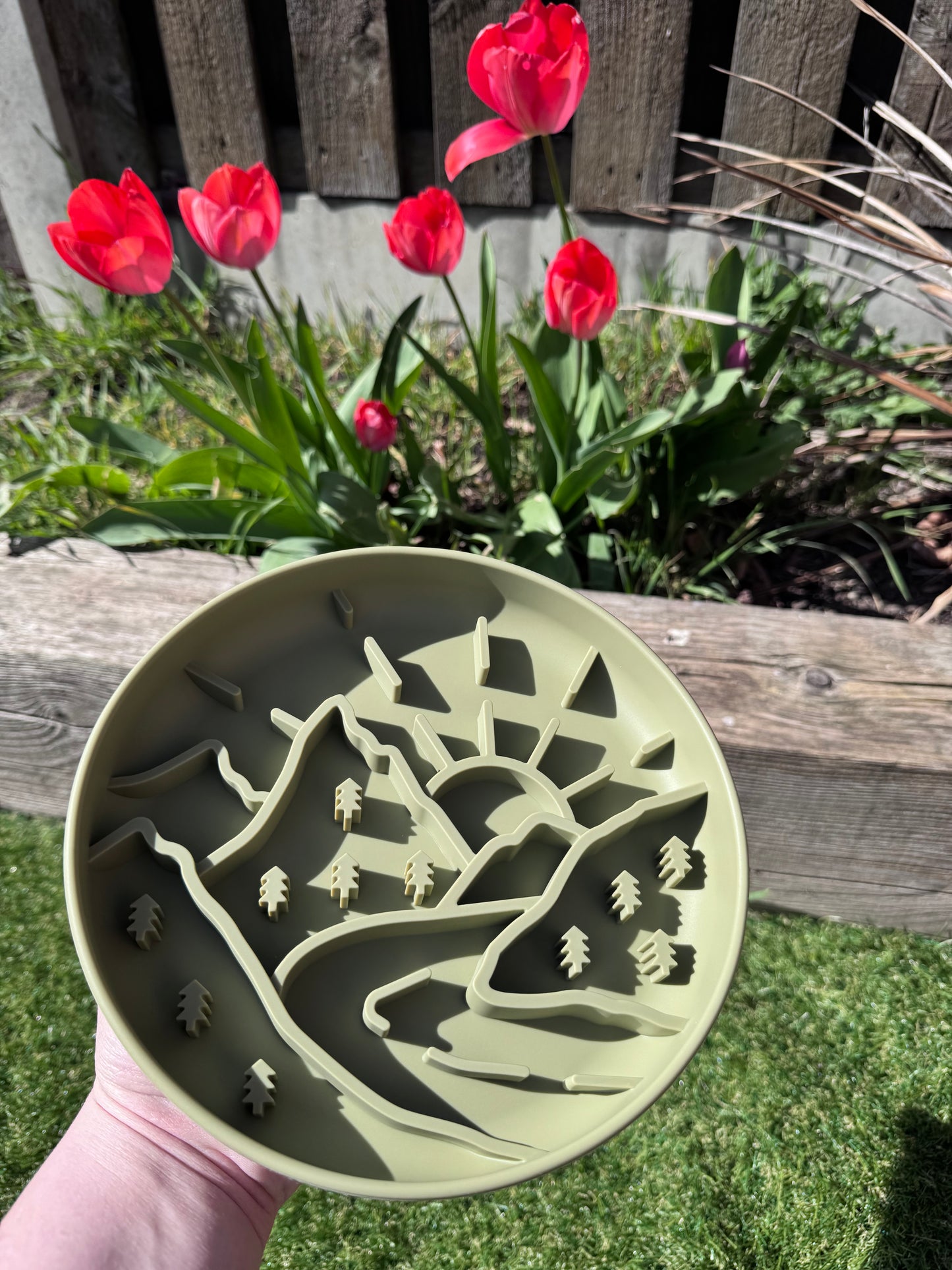 Mountain Range Enrichment Bowl (Free Postage)