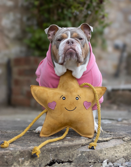 Aurora The XL Star (Free Postage)
