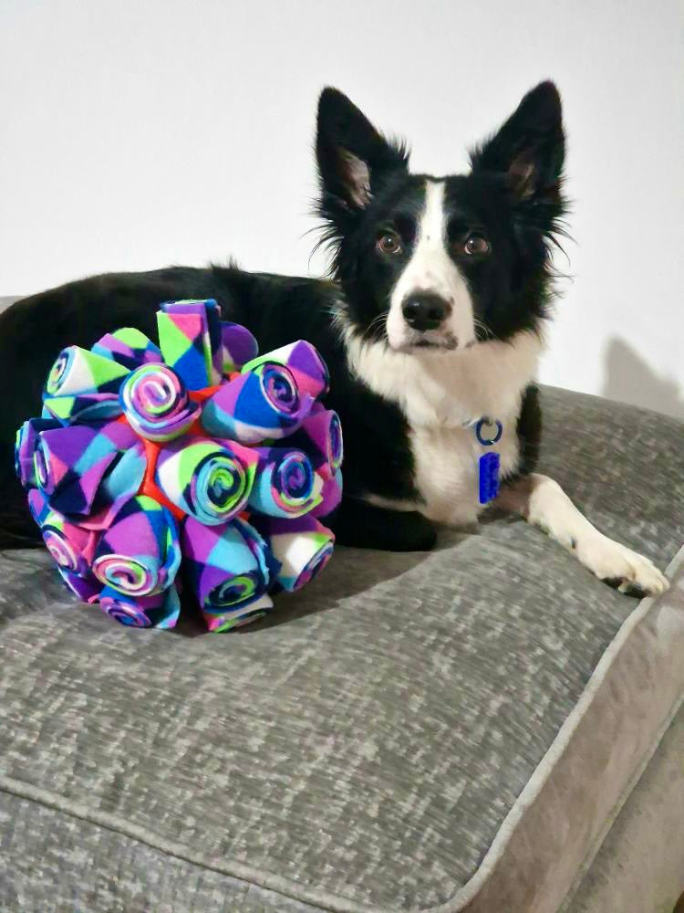 Snuffle Cage Ball (Free Postage)