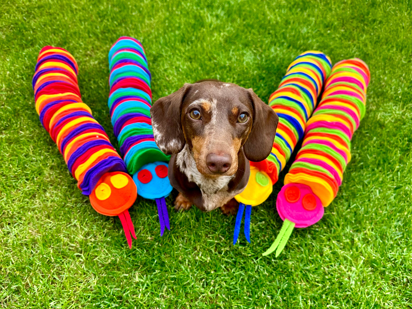 Custom Coloured Small Snuffle Snake (Free Postage)