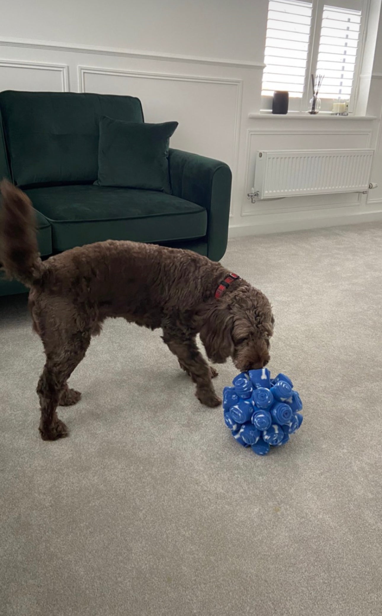 Snuffle Cage Ball (Free Postage)