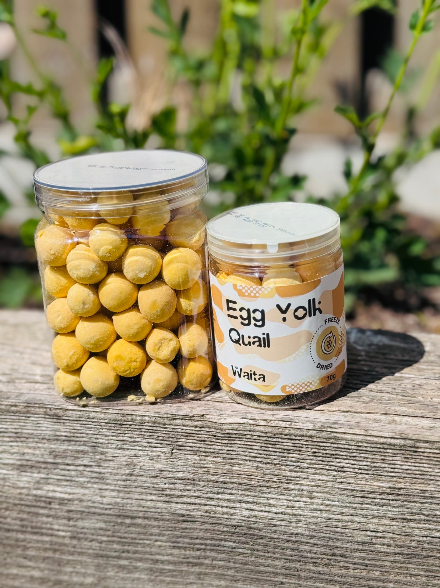 Freeze Dried Quail Egg Yolks (Free Postage)