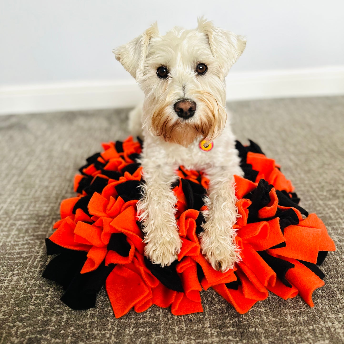 Schnauzerfest Snuffle Mat, Available in 3 sizes (15% of this order will be donated to the Schnauzerfest charity)