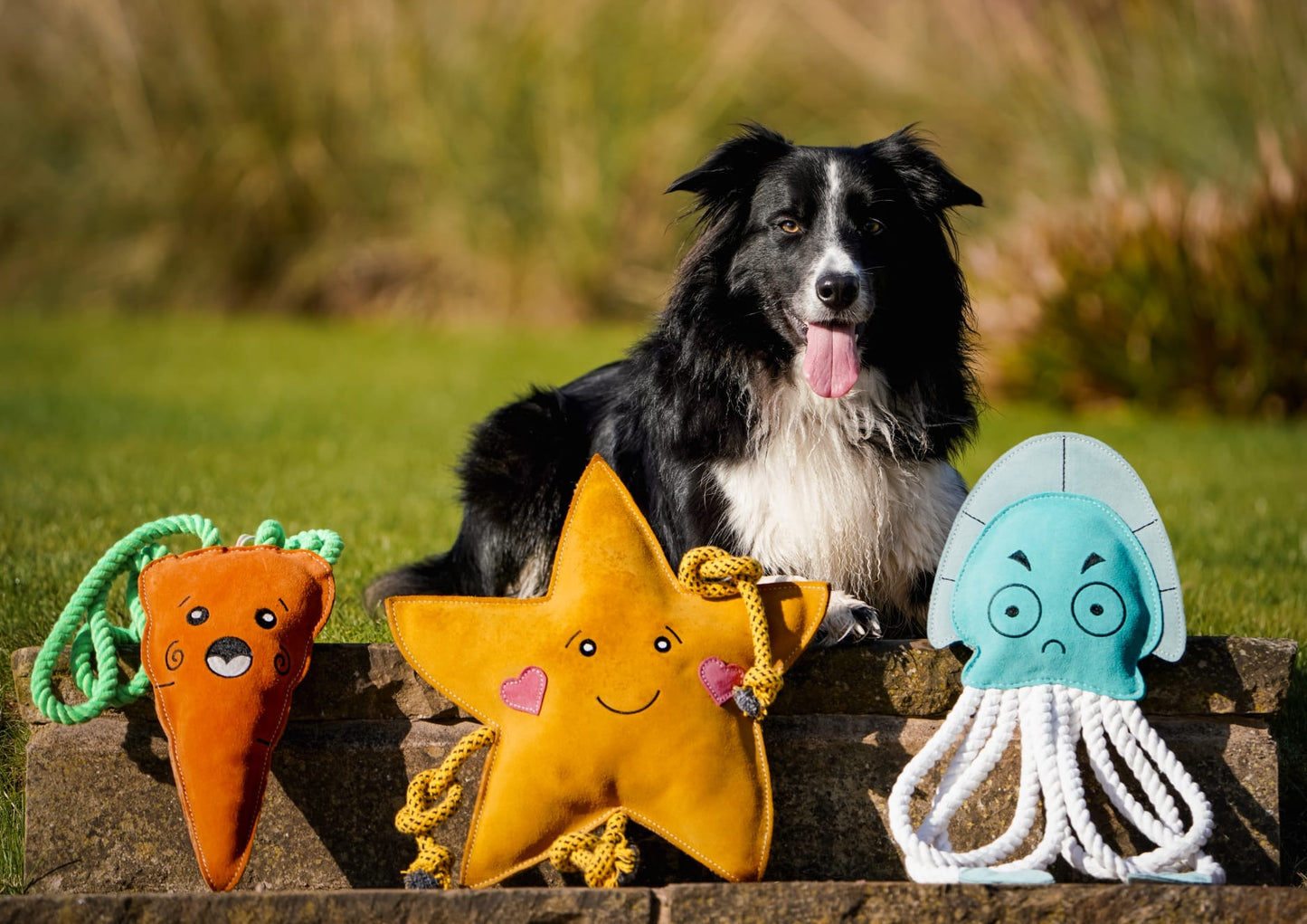 Copper The XL Carrot