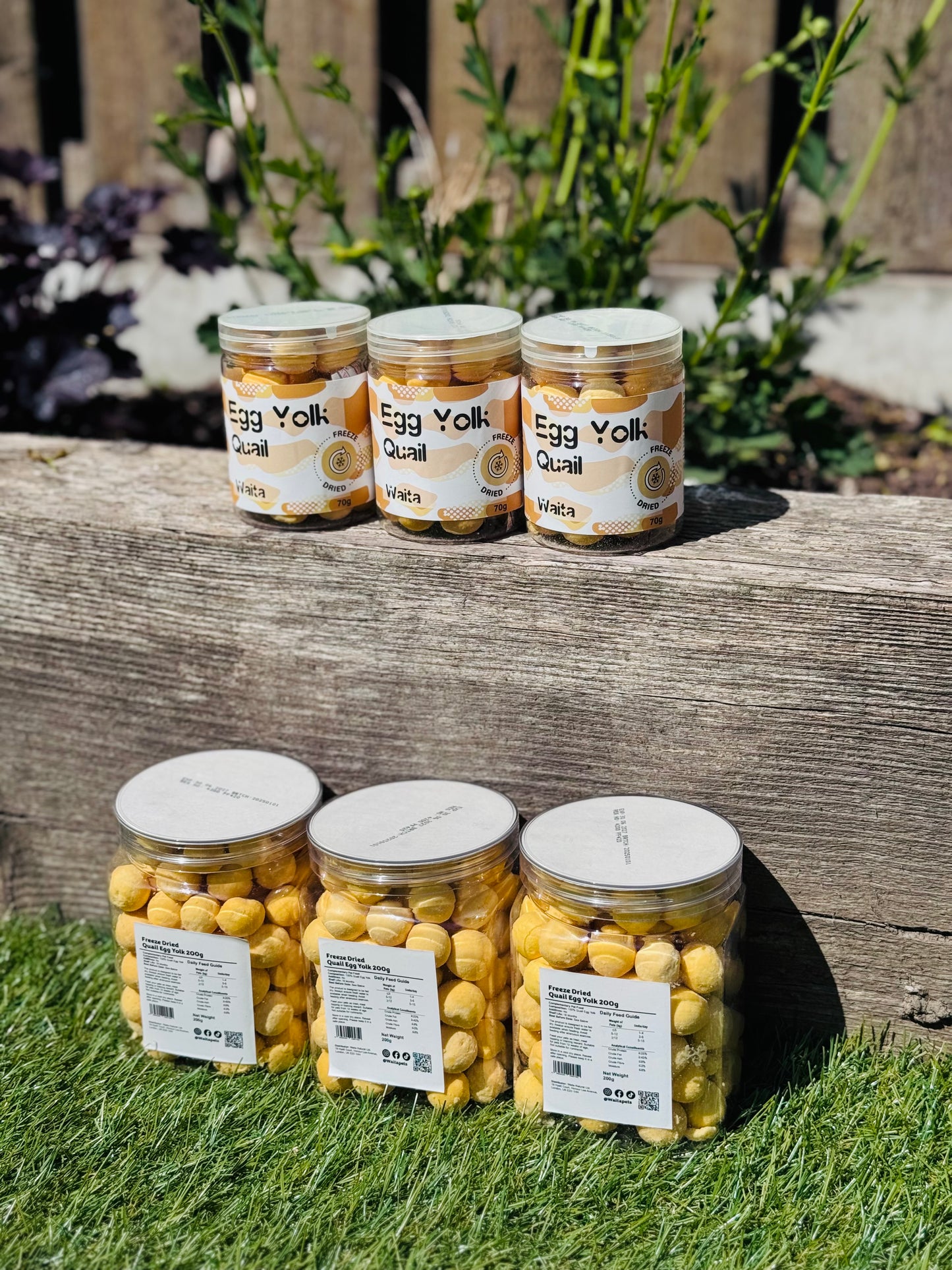 Freeze Dried Quail Egg Yolks (Free Postage)
