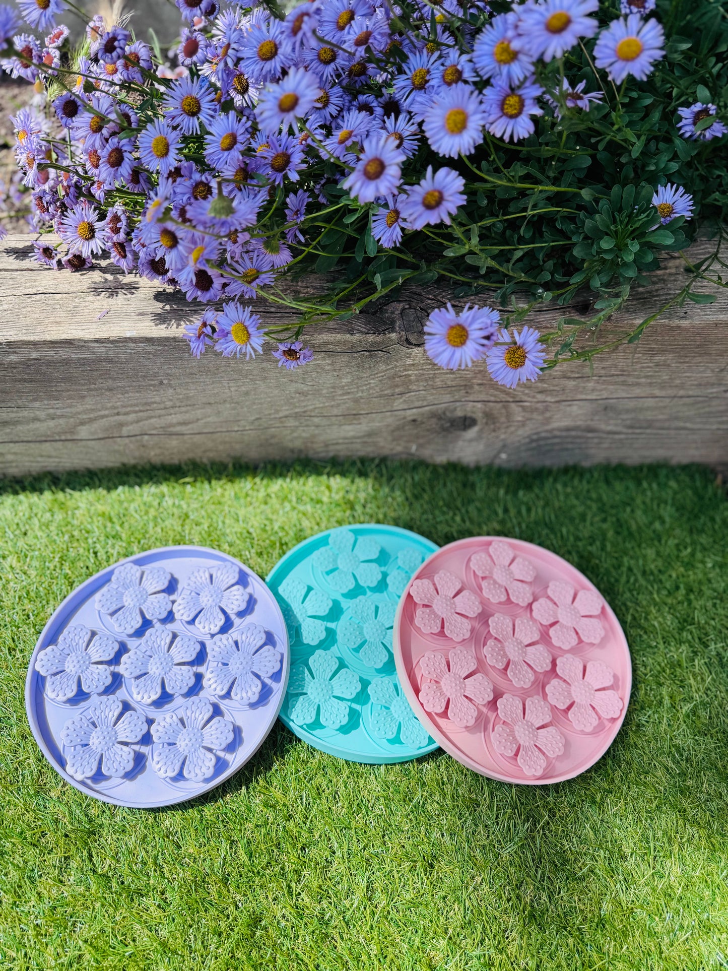 Dandy Daisy Lick Mat (Free Postage)