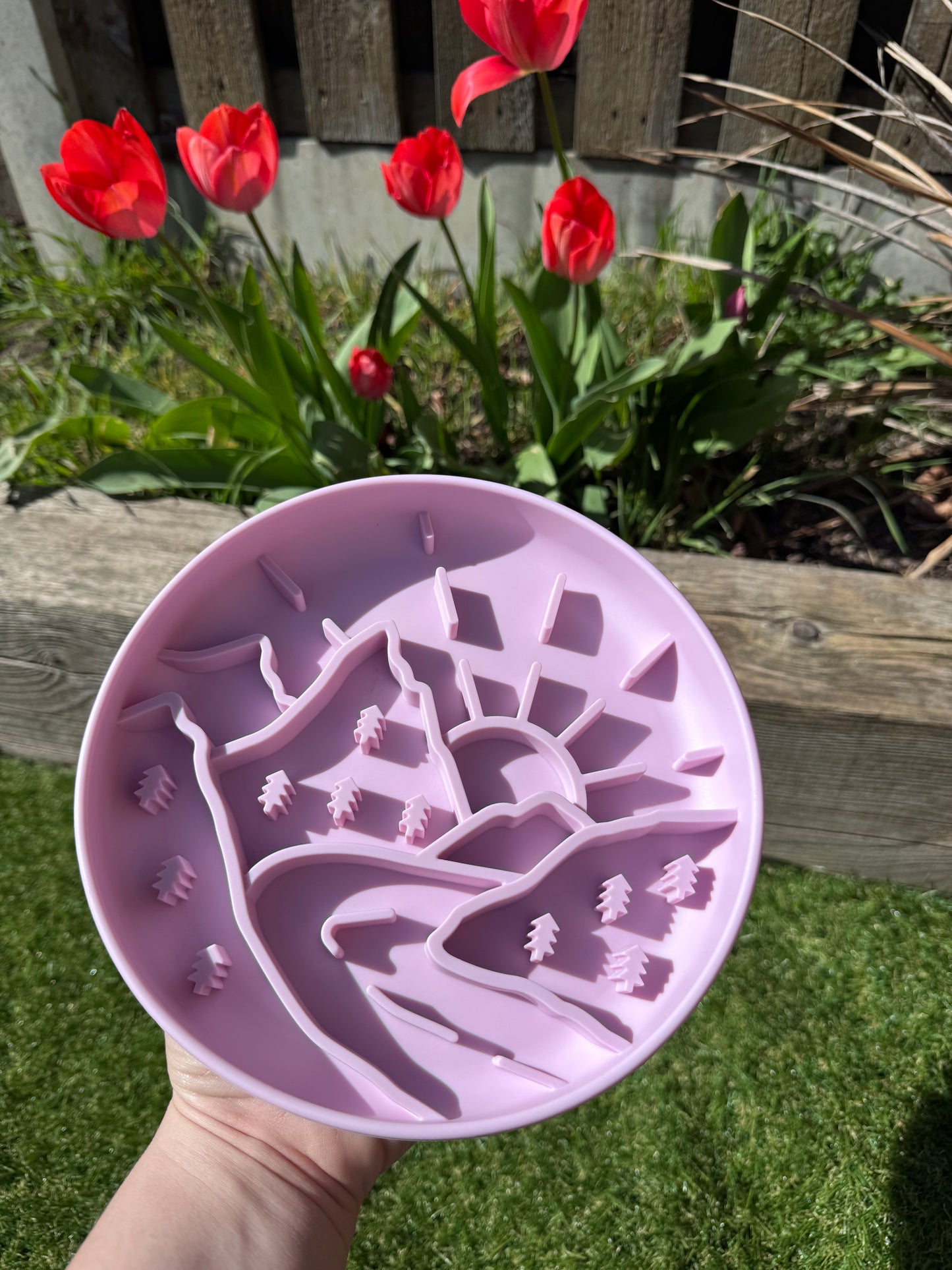 Mountain Range Enrichment Bowl (Free Postage)