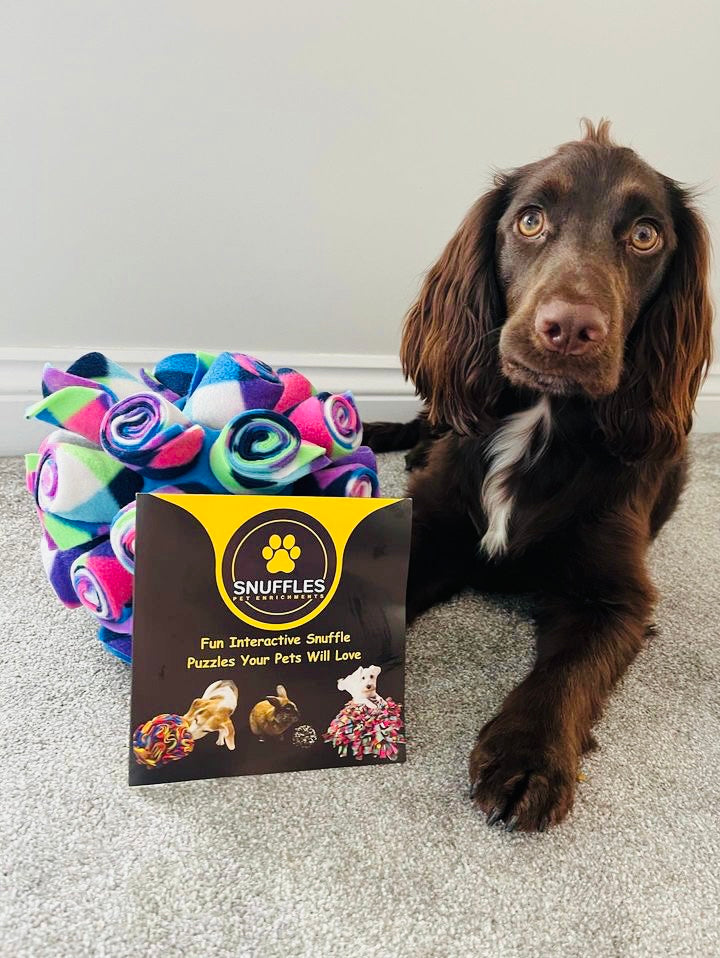 Snuffle Cage Ball (Free Postage)