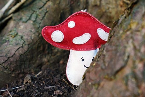 Marie Mushroom(Free Postage)