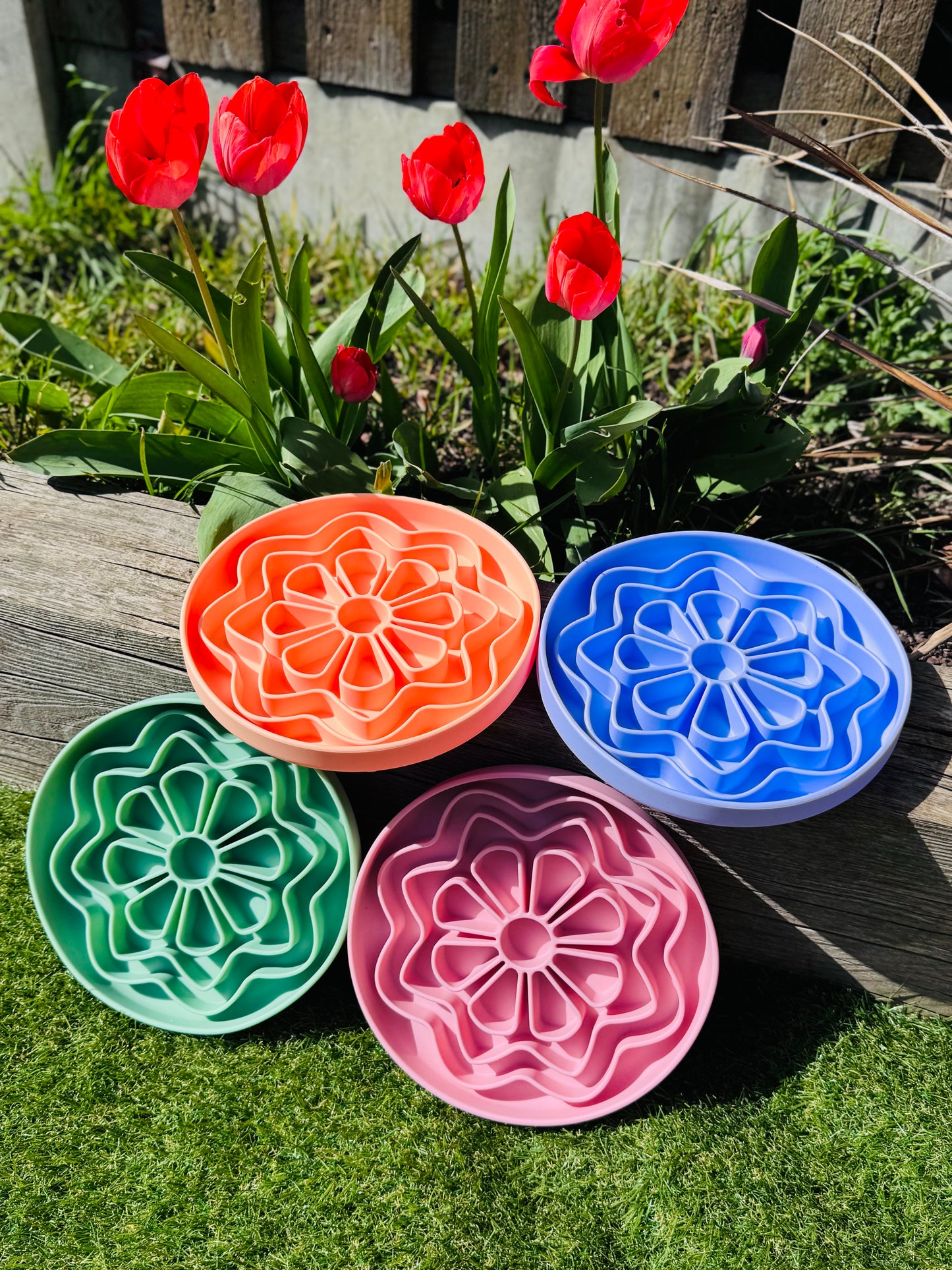 Flower Power Enrichment Bowl (Free Postage)