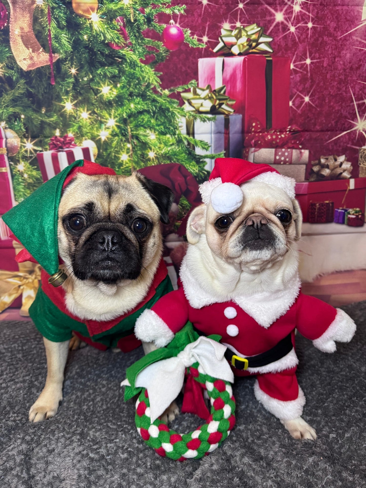 Festive Wreath Dog Tug 3 Sizes Available (Free Postage)