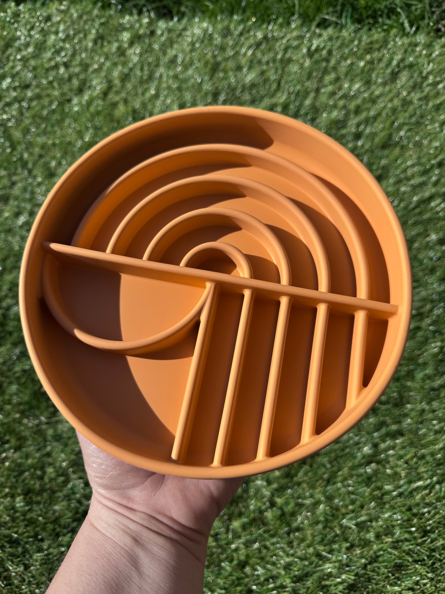 Rainbow Style Enrichment Bowl (Free Postage)