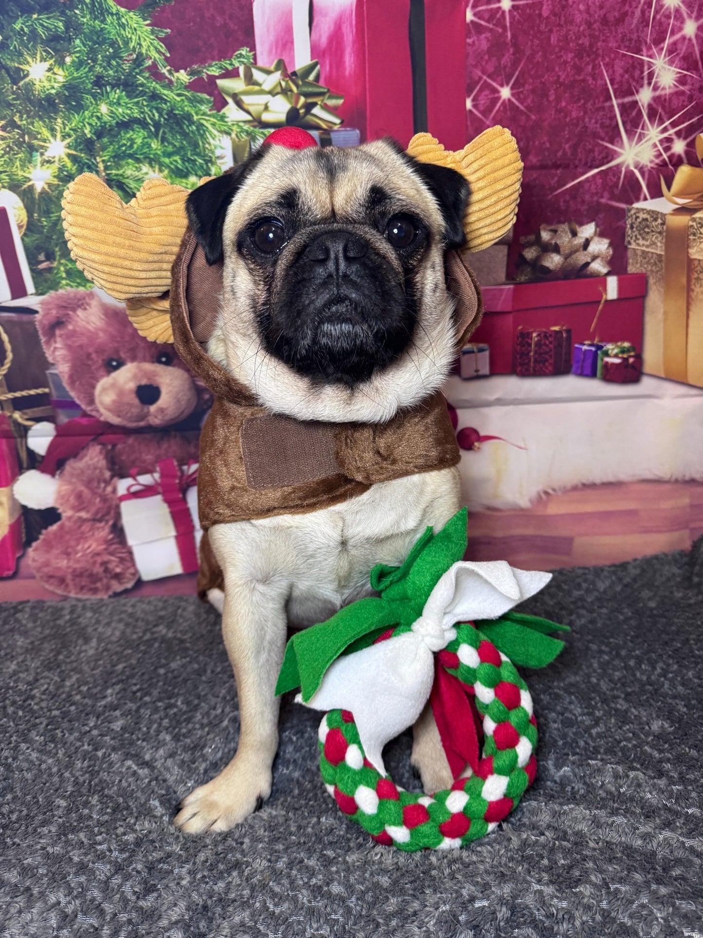 Festive Wreath Dog Tug 3 Sizes Available (Free Postage)