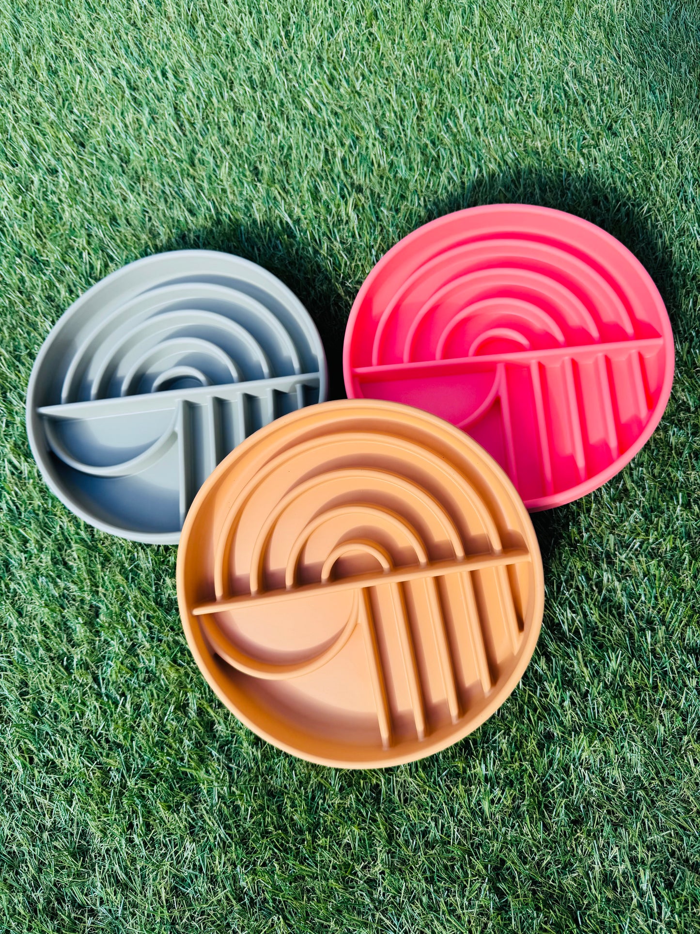 Rainbow Style Enrichment Bowl (Free Postage)