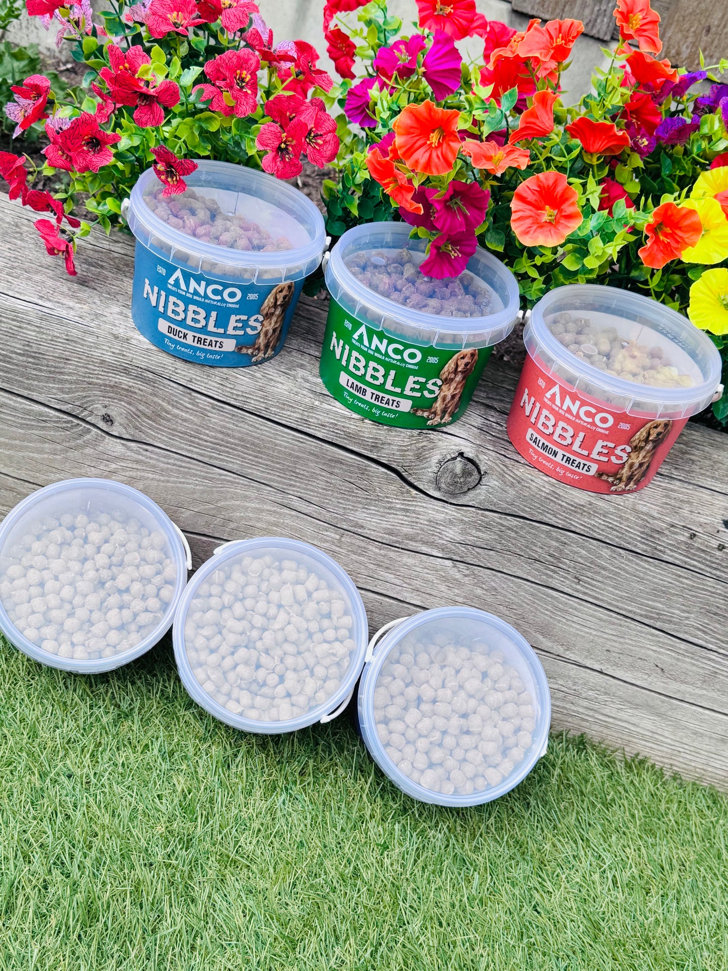 Anco Nibbles 300g Training Treat Tubs, 6 Flavours Available (Free Postage)