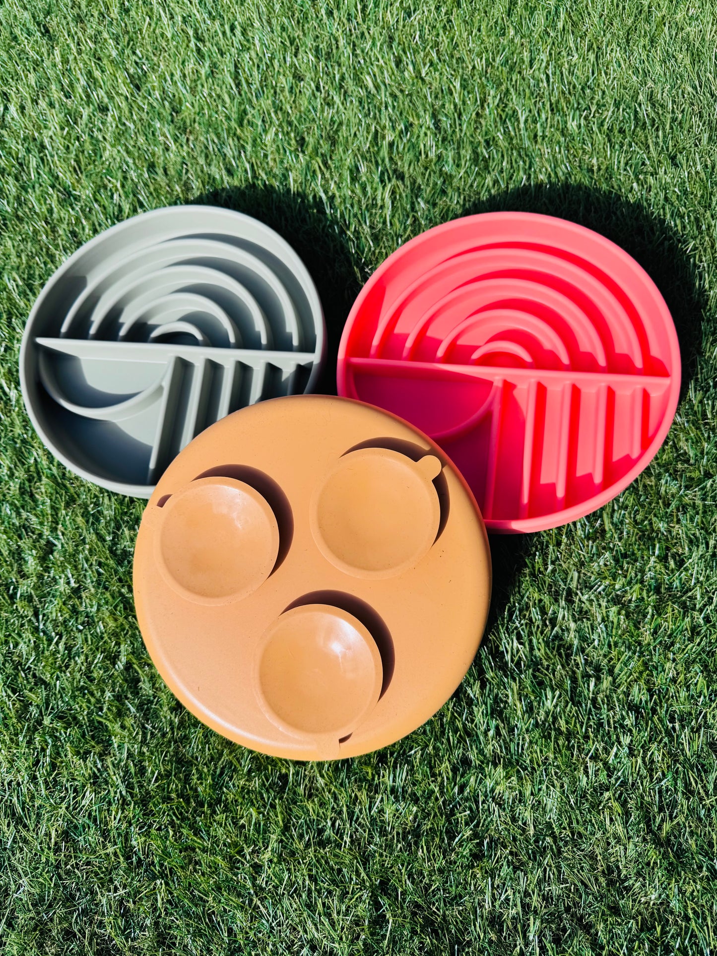 Rainbow Style Enrichment Bowl (Free Postage)