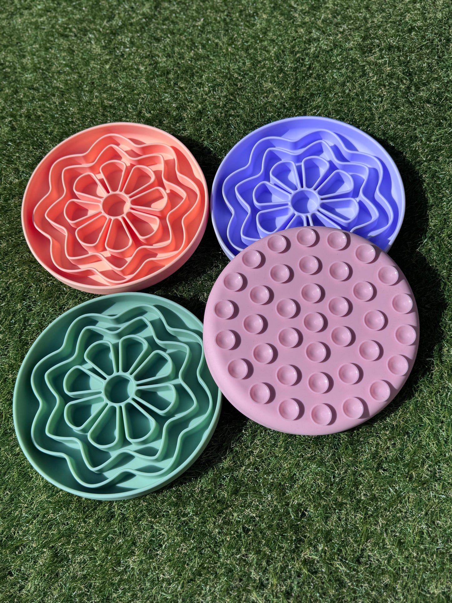 Flower Power Enrichment Bowl (Free Postage)