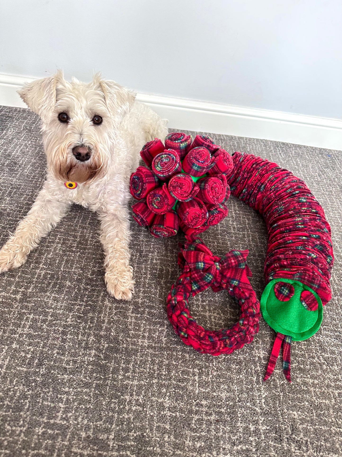 Festive 3 in 1 - Snake/Wreath Tug /Cage Ball Enrichment Sets  (Free Postage)