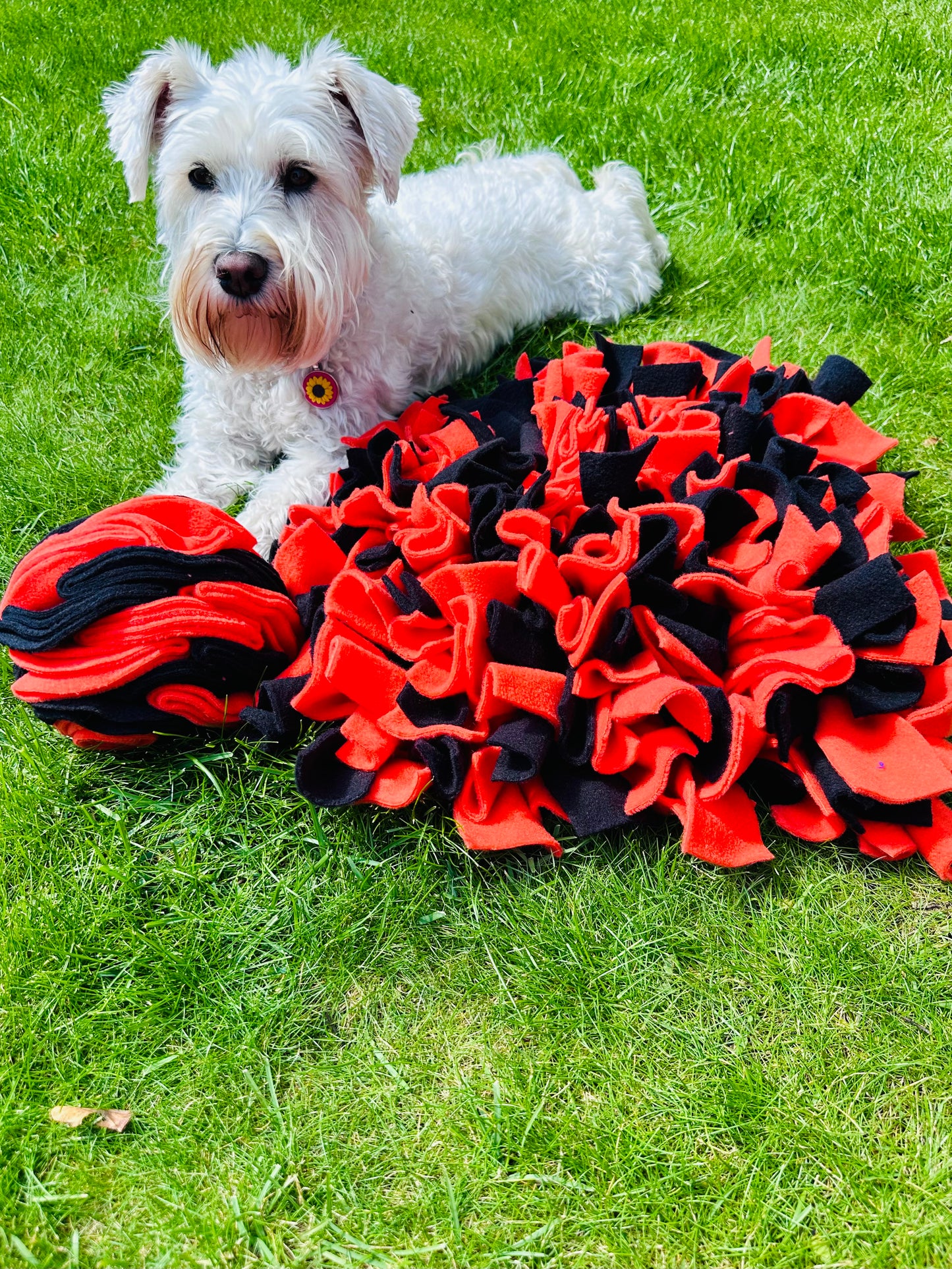 Schnauzerfest Snuffle Mat & Snuffle Ball Set, 4 size options available. (15% of this order will be donated to the Schnauzerfest charity)