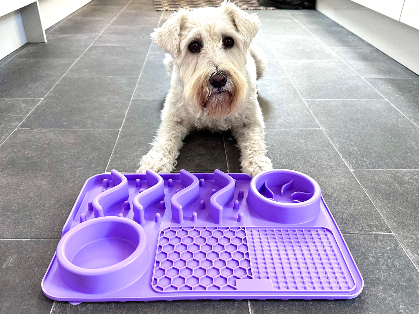 Multifunctional Lick Mat, Available In 2 Sizes (Free Postage)