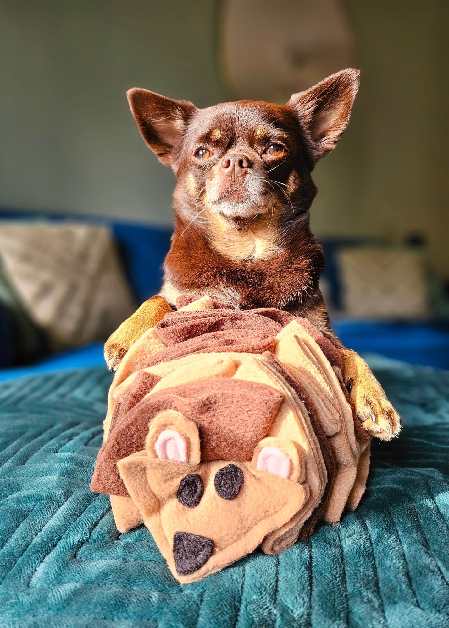 The Snuffle Hog Available In 2 Sizes (Free Postage)