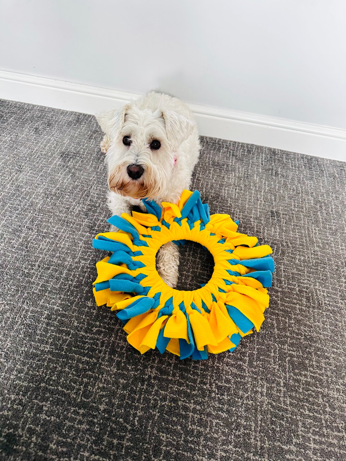 Custom Coloured Fleece Frisbees (Free Postage)