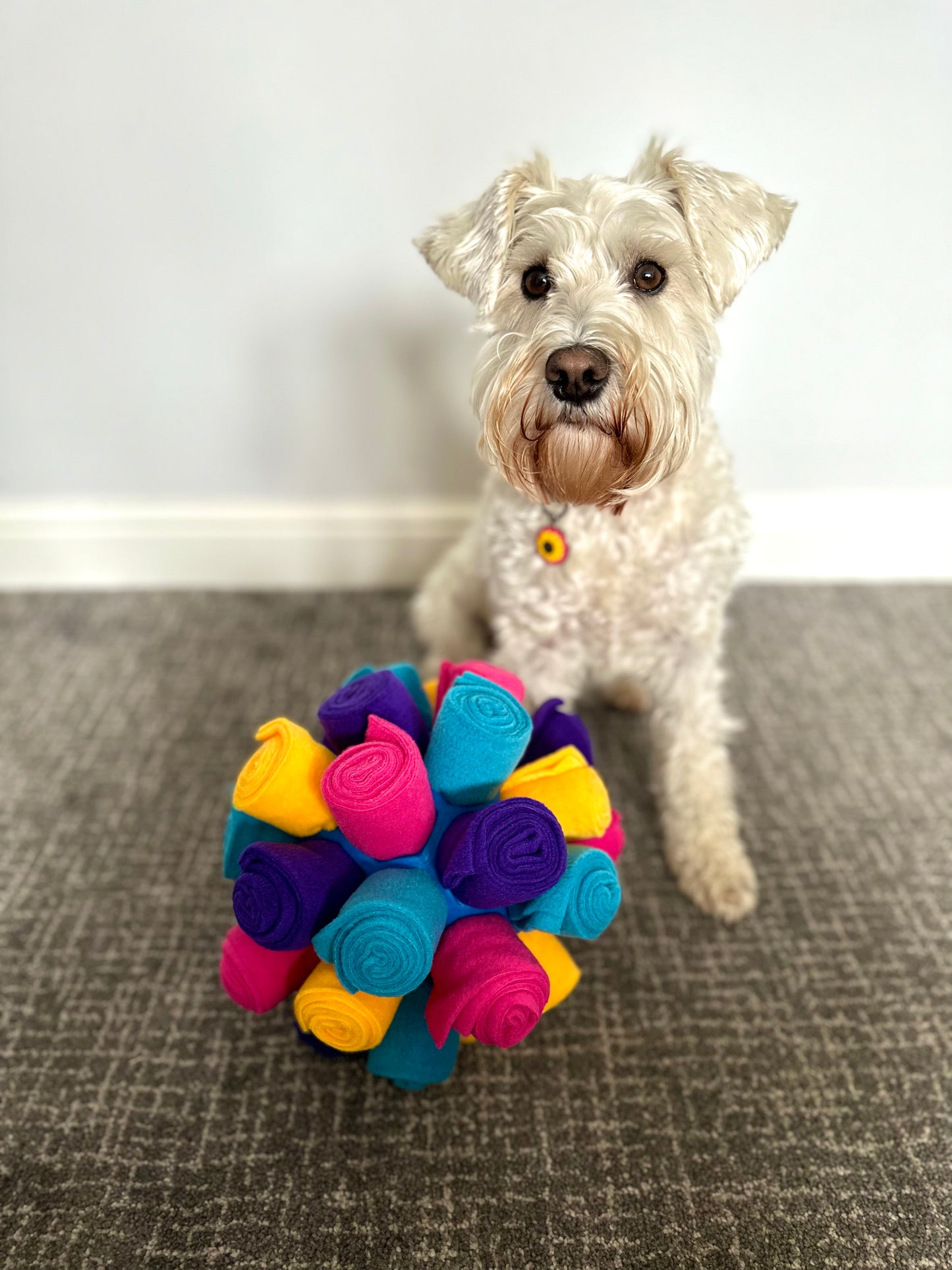 Custom Coloured Snuffle Cage Ball (Free Postage)