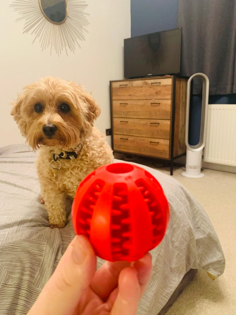 7cm Treat Ball (Free Postage)