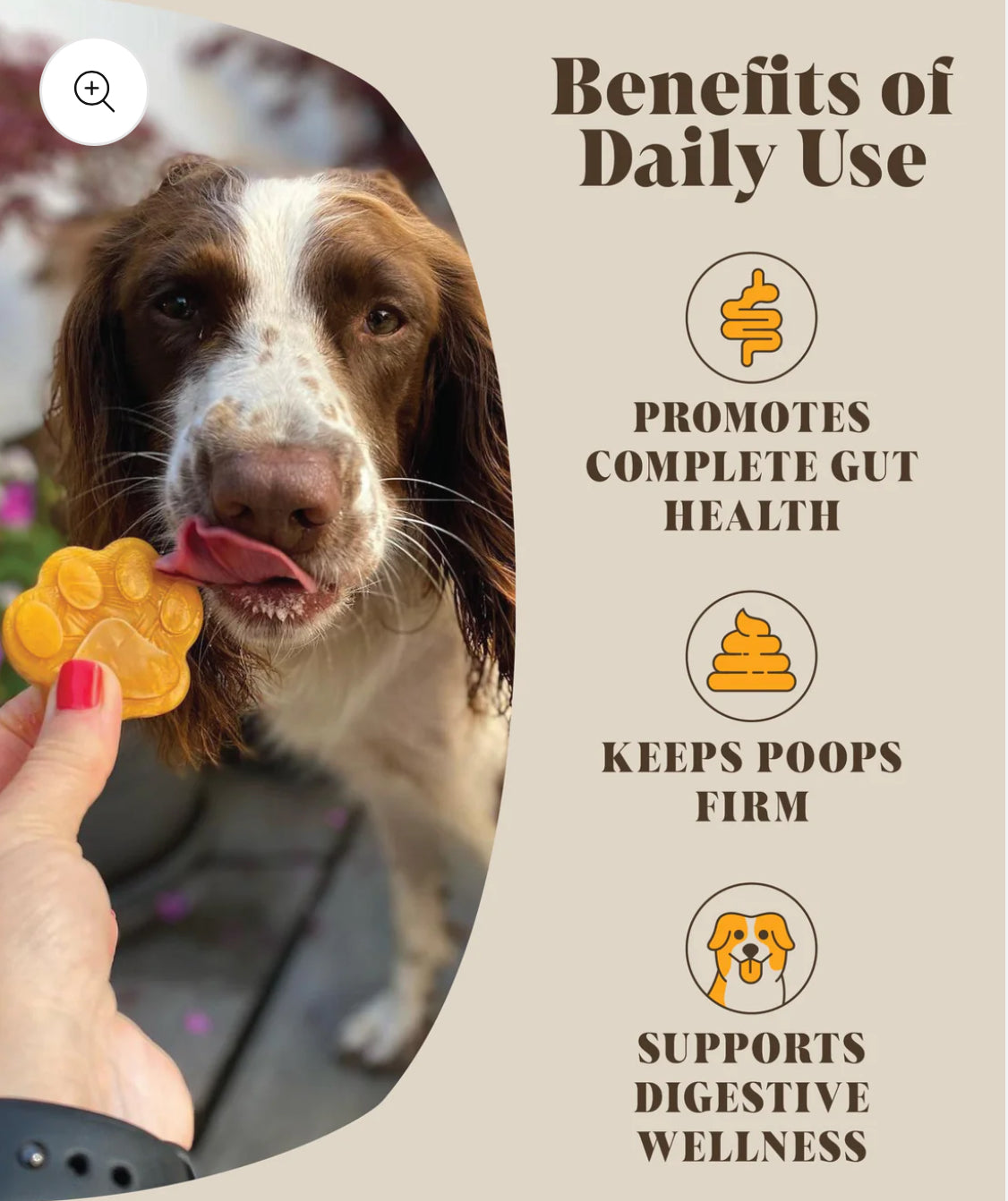 Hackney Dog House Pumpkin & Probiotics For Dogs (Free Postage)