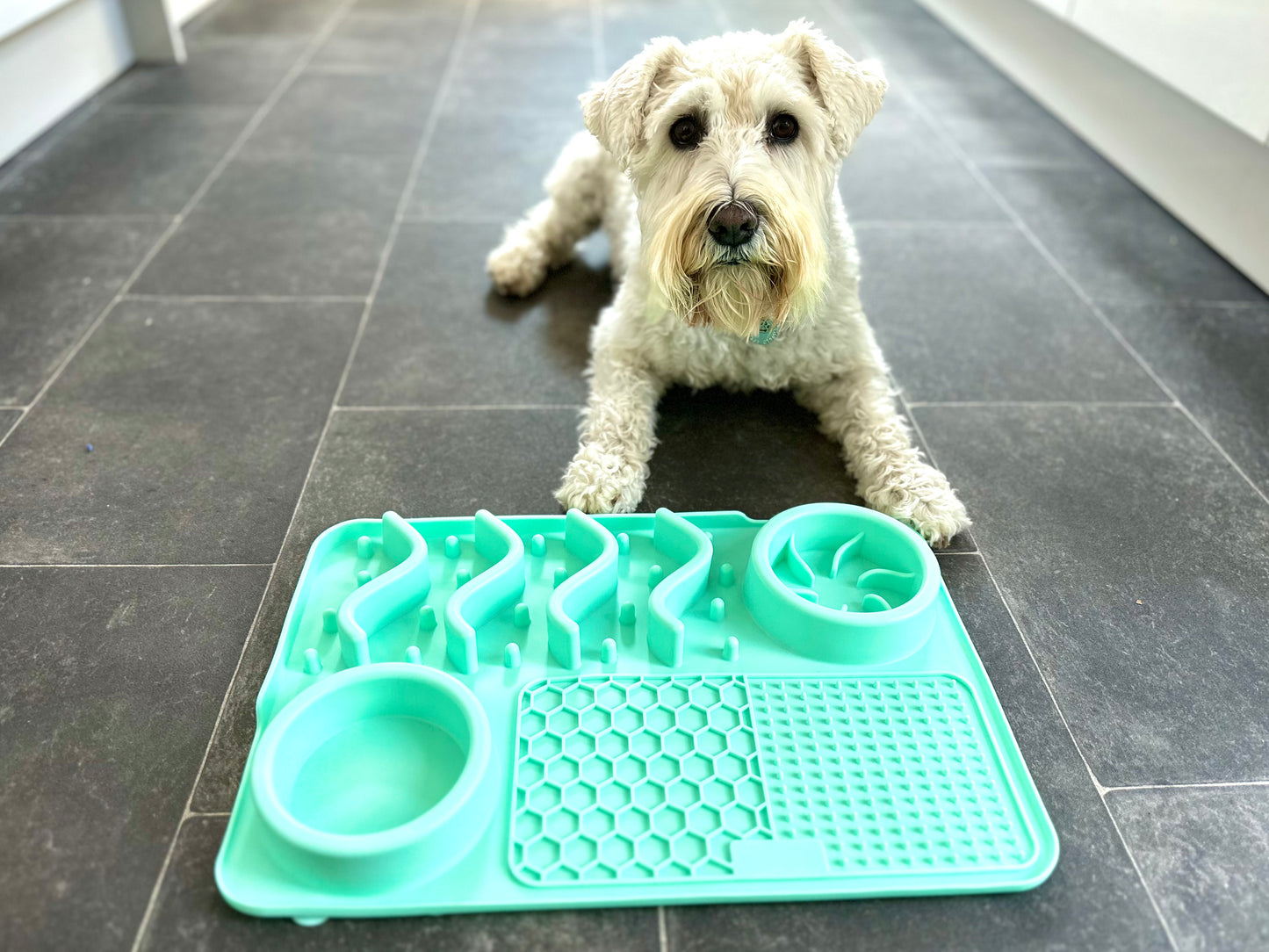 Multifunctional Lick Mat, Available In 2 Sizes (Free Postage)