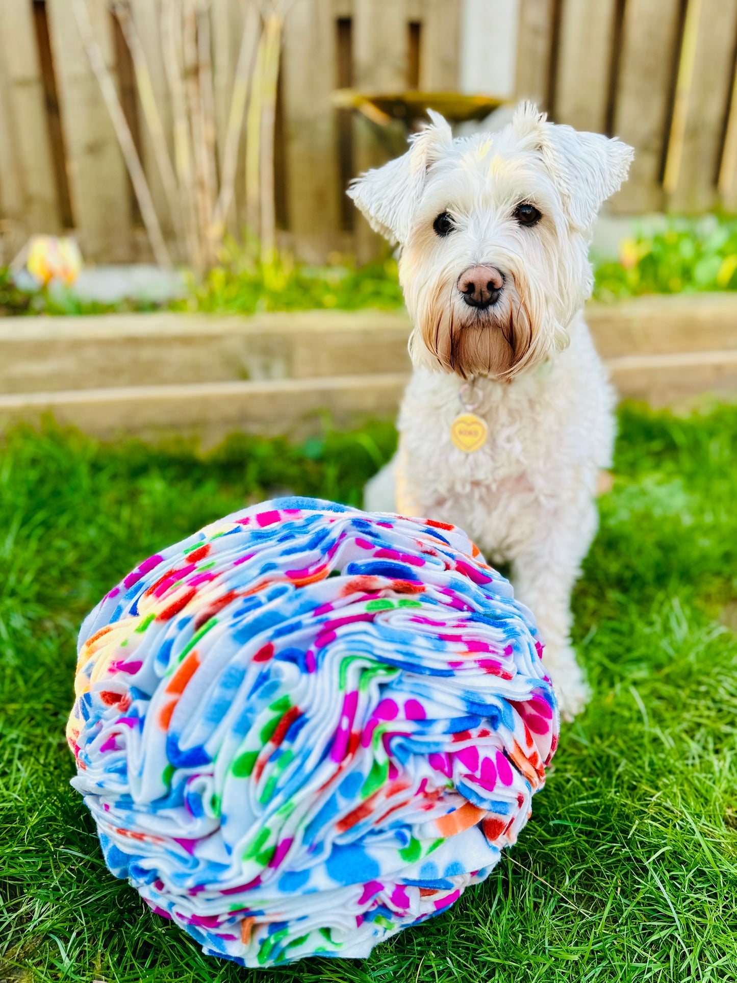 Extra Large Snuffle Ball (Free Postage)