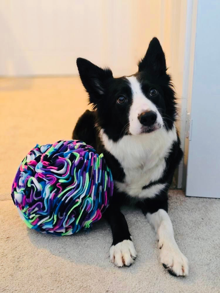Large Snuffle Ball (Free Postage)