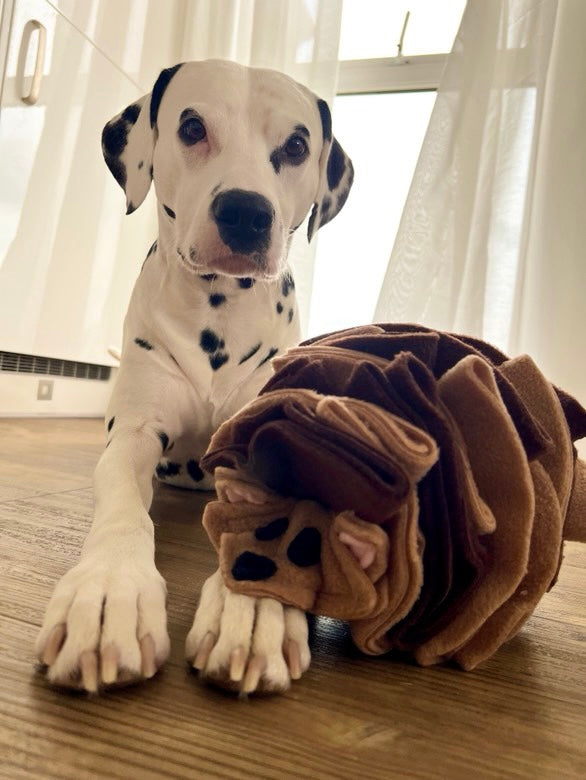 The Snuffle Hog Available In 2 Sizes (Free Postage)