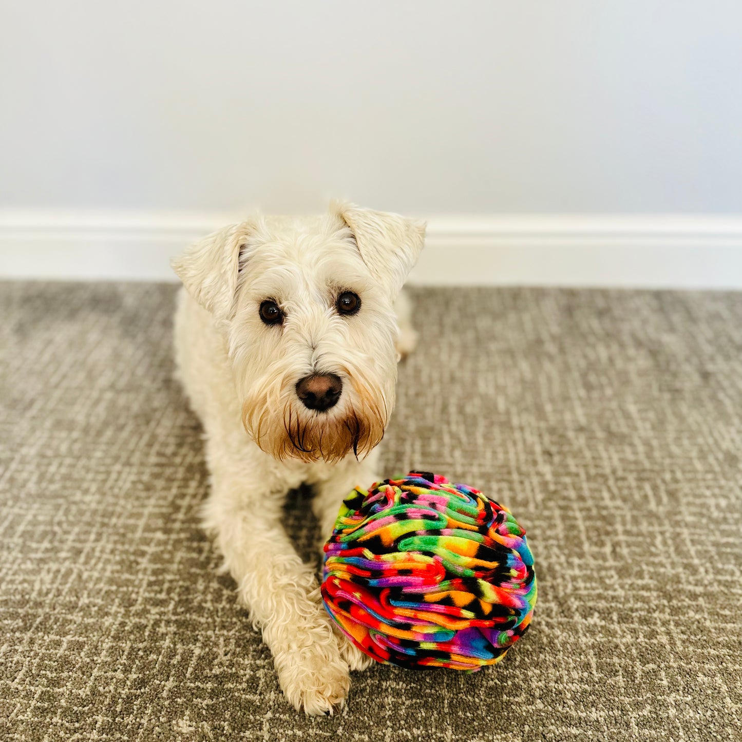 Medium Snuffle Ball (Free Postage)