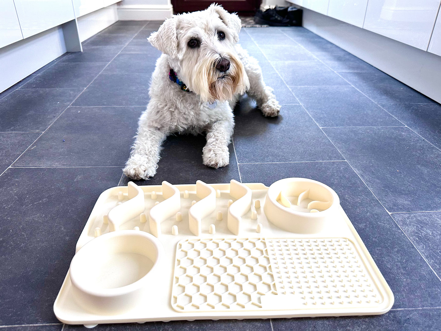 Multifunctional Lick Mat, Available In 2 Sizes (Free Postage)