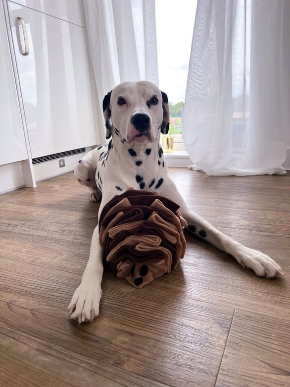 The Snuffle Hog Available In 2 Sizes (Free Postage)