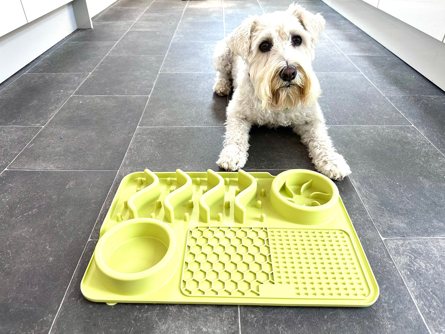 Multifunctional Lick Mat, Available In 2 Sizes (Free Postage)