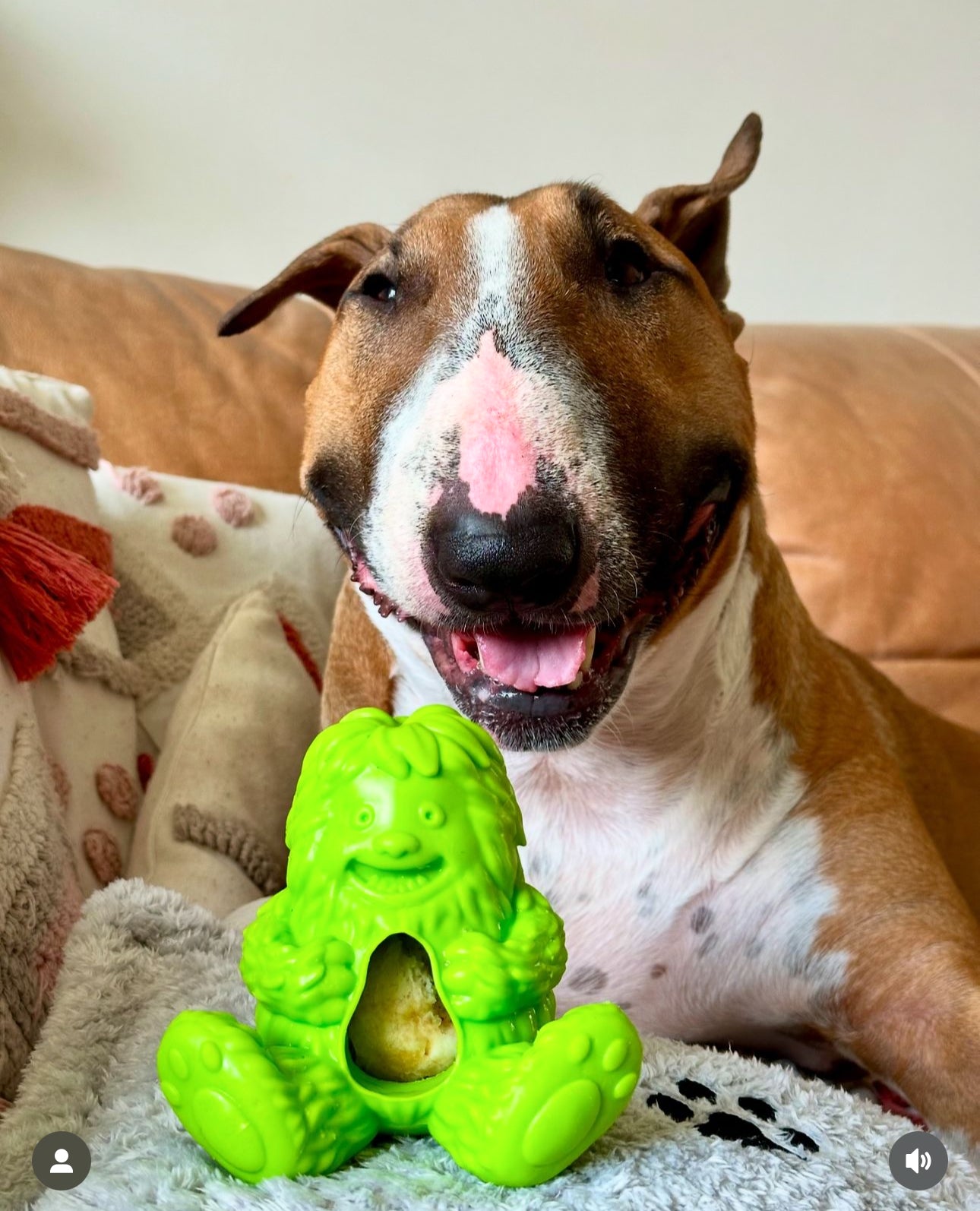 Dogsee Yeti Treat Toy, 3 colours available (Free Postage)