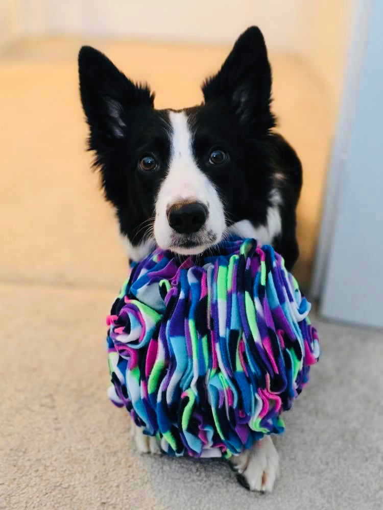 Large Snuffle Ball (Free Postage)