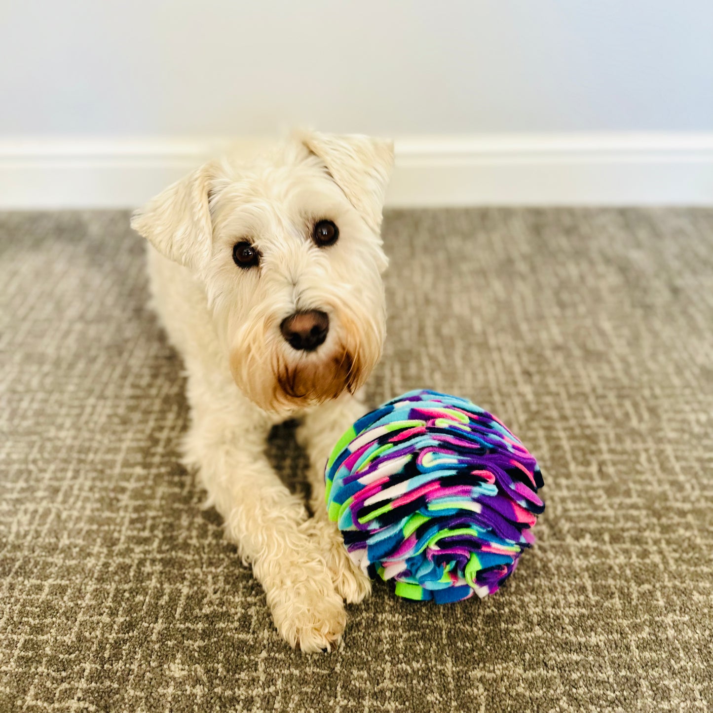 Medium Snuffle Ball (Free Postage)