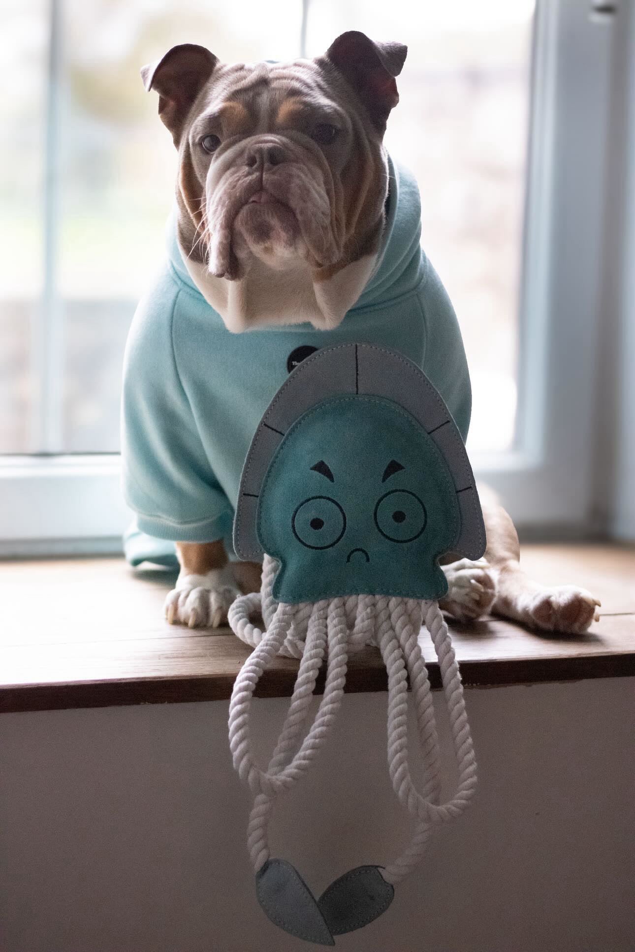 Dave The XL Jellyfish (Free Postage)