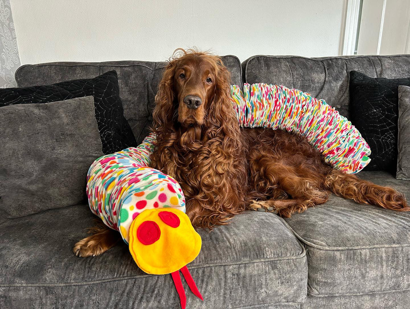 The 1.5 Metre Snuffle Anaconda (Free Postage)